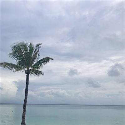 游戏王决斗链接华为版下载